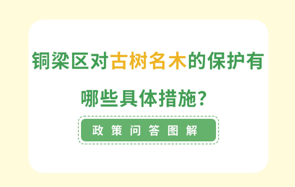 【政策问答图解】我区对古树名木的保护有哪些具体措施？