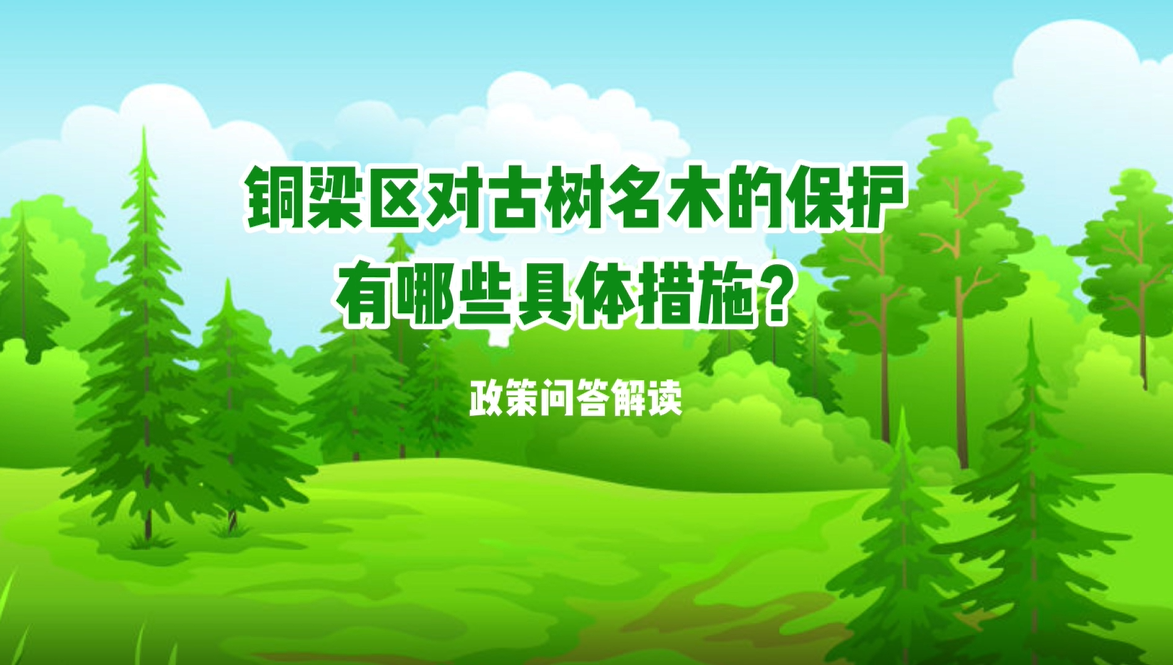 【政策问答解读】铜梁区对古树名木的保护有哪些具体措施？