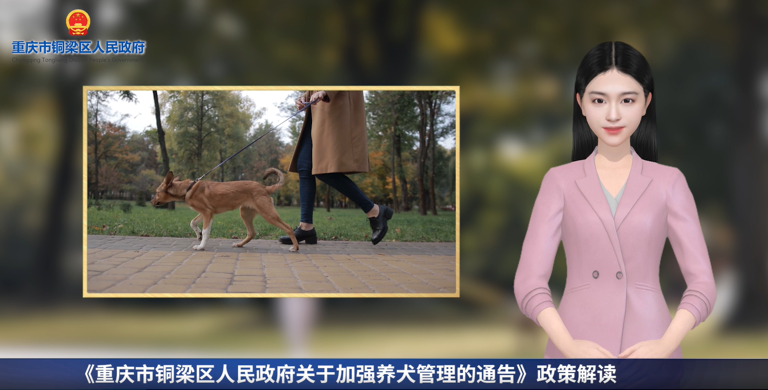 【数字人解读播报】《重庆市铜梁区人民政府关于加强养犬管理的通告》
