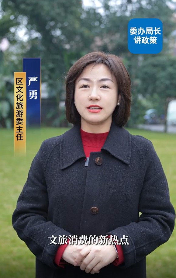 解读重庆市大型营业性演出奖补实施细则——区文化旅游委主任严勇