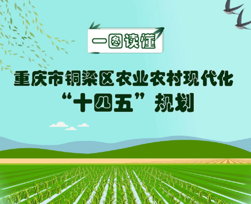 【图片解读】《铜梁区农业农村现代化“十四五”规划（2021—2025年）》