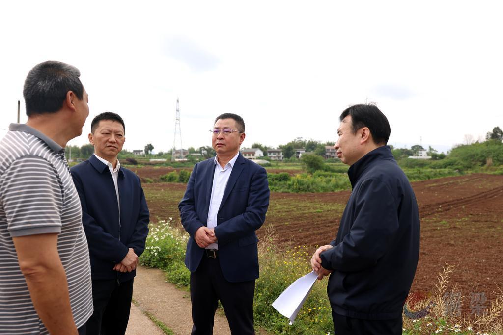 皮涛调研全区春耕生产工作