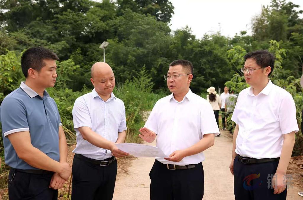 皮涛调研全区山水项目规划建设工作
